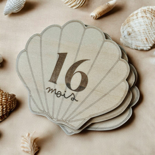 Cartes étapes coquillage - Deuxième année - 13 à 24 mois