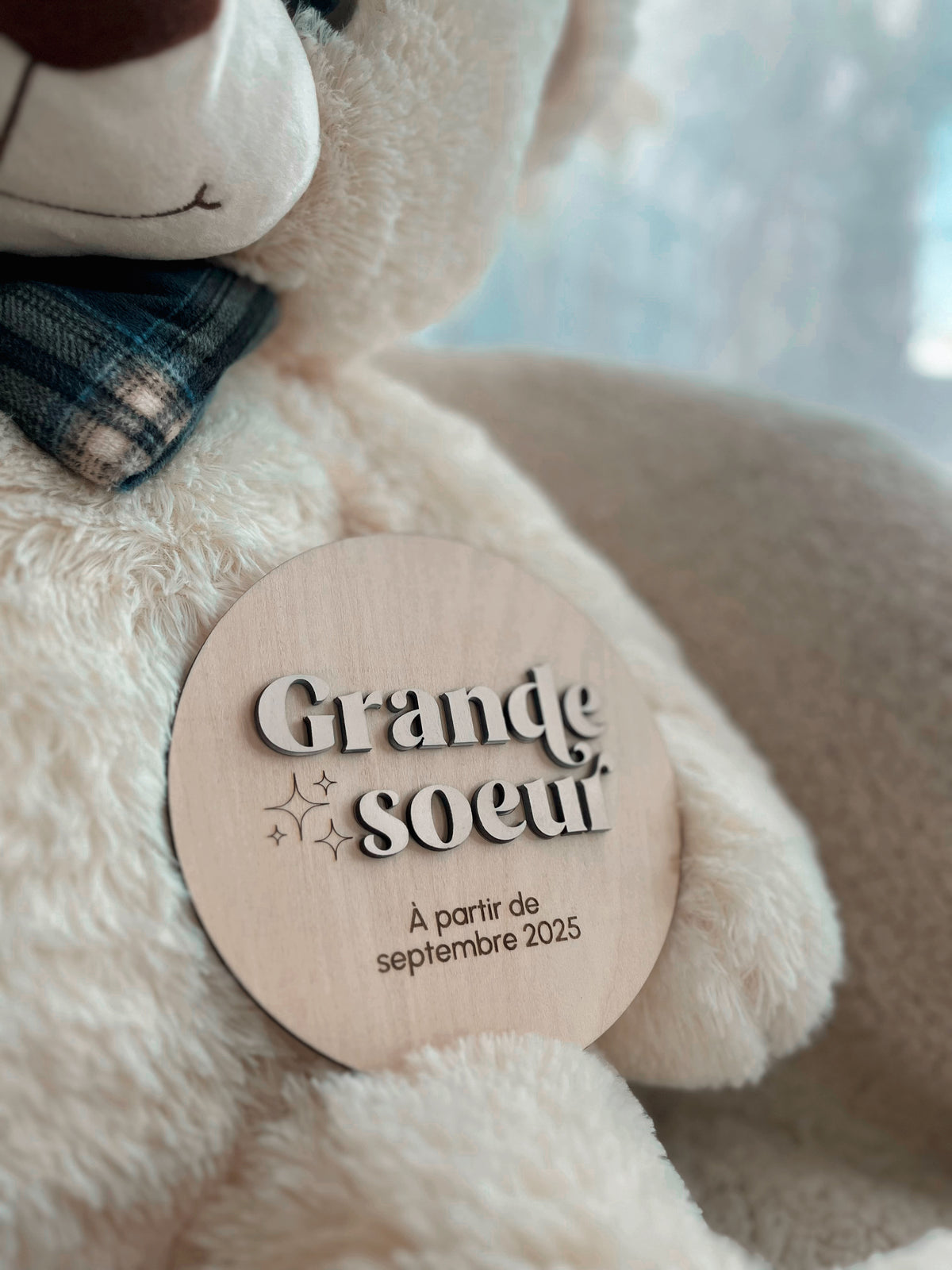 Pancarte en bois "Grande(s) soeur(s)"