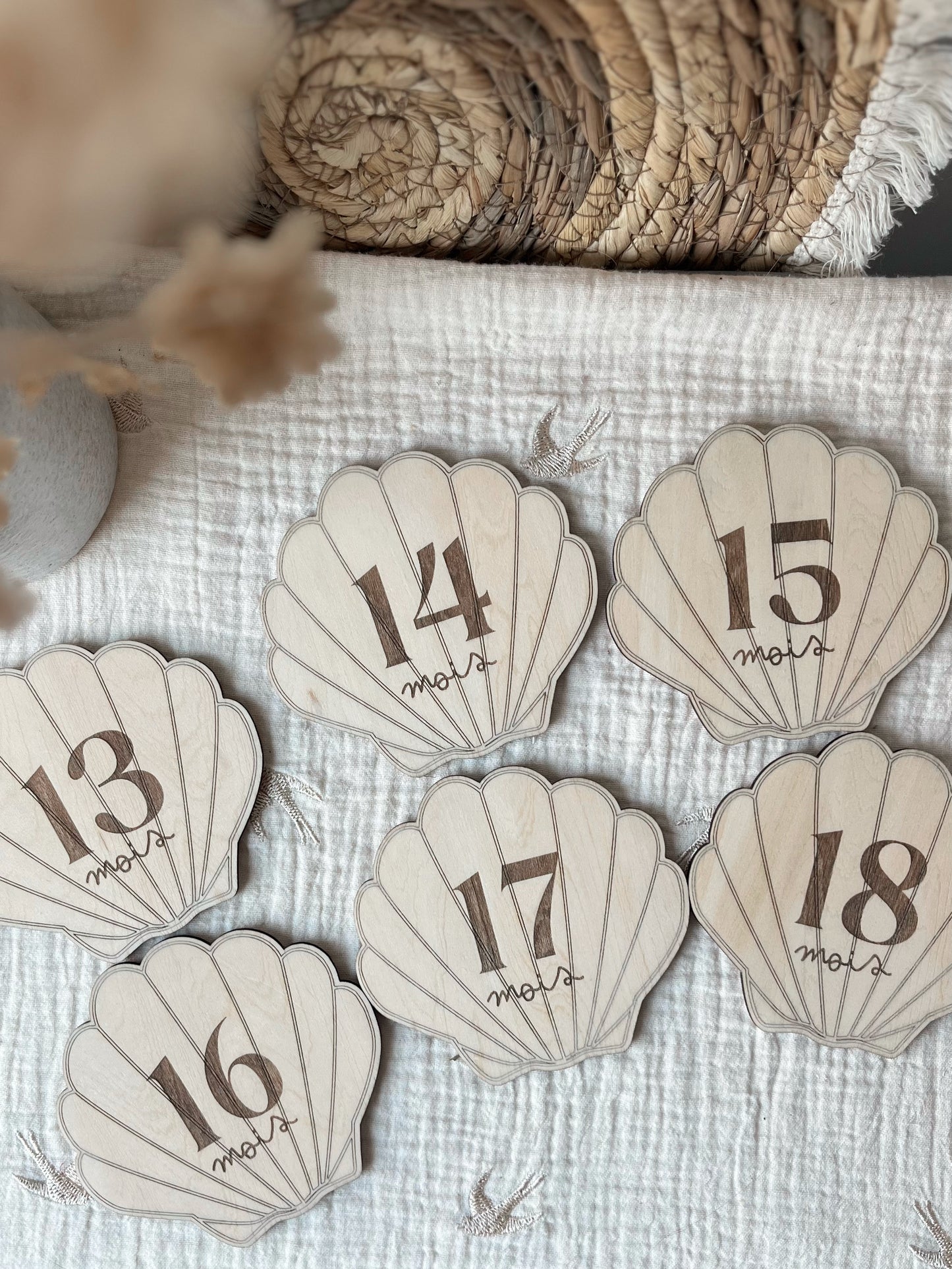 Cartes étapes coquillage - Deuxième année - 13 à 24 mois